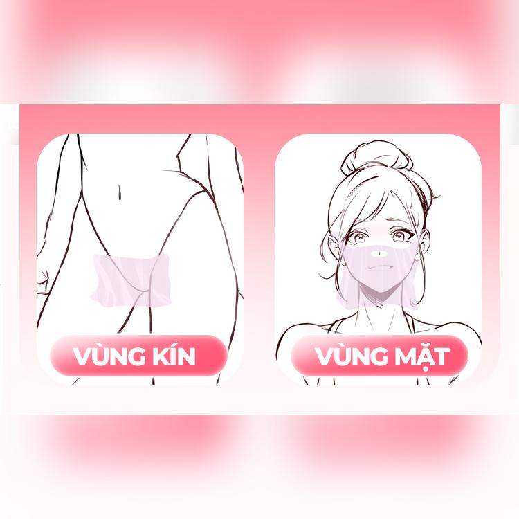 BỘ 3 MÀNG LIẾM VỊ TRÁI CÂY